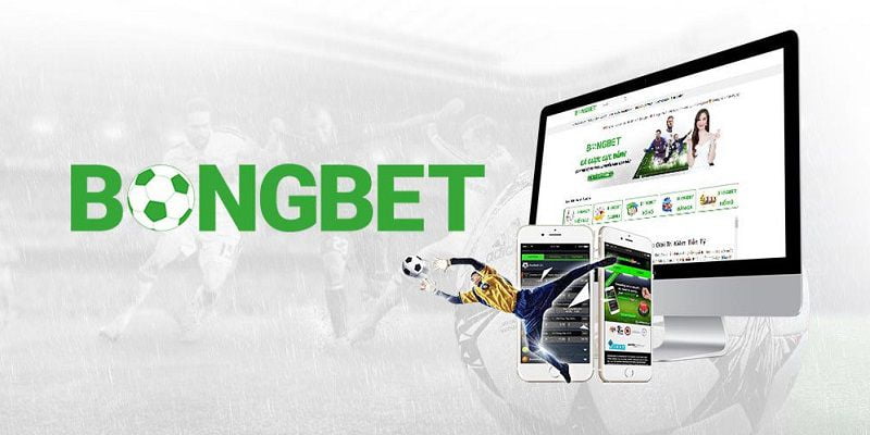 Bạn có thể chơi bao nhiêu trò chơi máy đánh bạc trên trang web 365Vn? - 365Vn