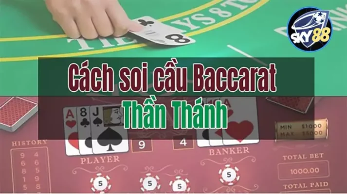 Điều kiện tham gia cá cược Tt88 - Tt88