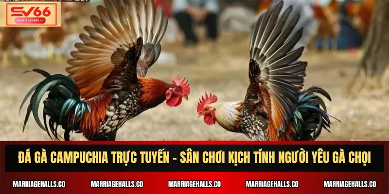 Những lợi thế chính khi chơi game trên nền tảng game trực tuyến cấp Vn88 - Vn88