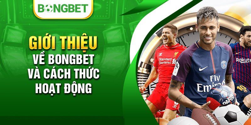 Hệ thống giải trí Sao789 - Sao789