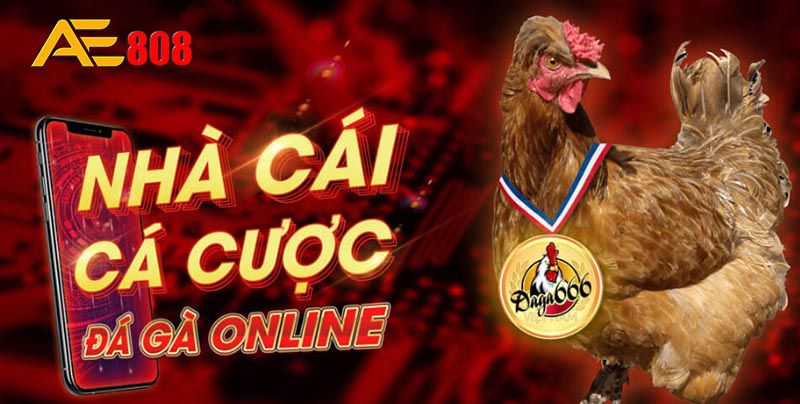 Giới thiệu trò chơi thẻ bài được đánh giá cao, đạt chuẩn Oke88, với phần thưởng tiền mặt thực sự! - Oke88
