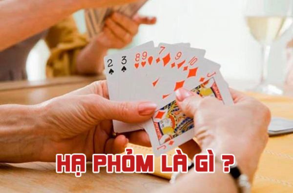 Kinh nghiệm của người đặt cược trong các sự kiện cấp 11Vn - 11Vn