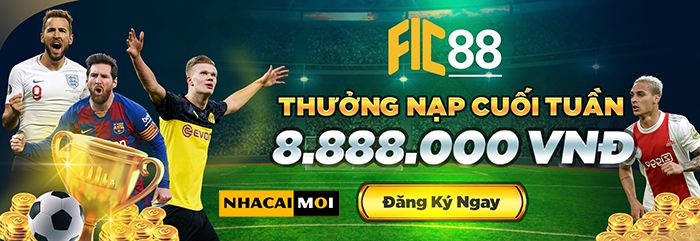 Năng lực và khả năng thích ứng C54 - C54