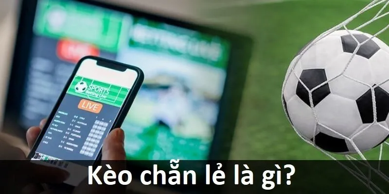 Dt68 cung cấp rất nhiều trò chơi bài trực tuyến đa dạng - Dt68