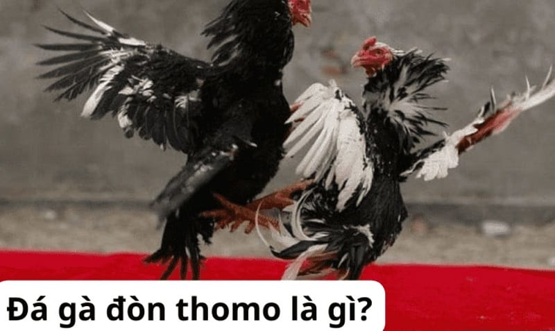 Trò chơi M8win hàng đầu - M8win