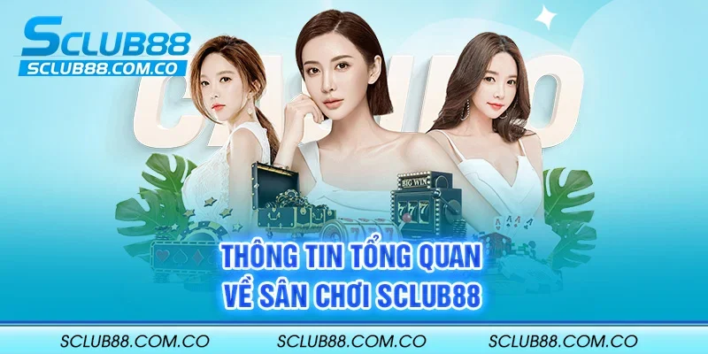 12Play có giấy phép hợp lệ không? - 12Play