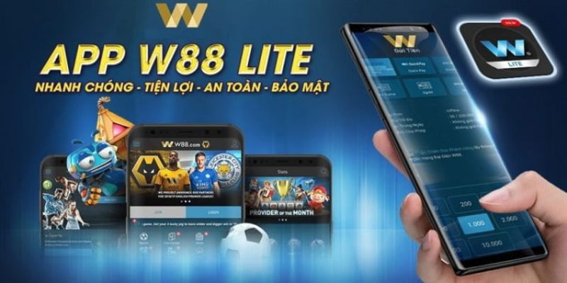Các câu hỏi liên quan đến vụ lừa đảo 18Bet - 18Bet